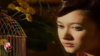 Nafa Urbach - Hatiku Bagai Disangkar Emas (Official Karaoke Video)