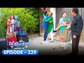 Bulbulay Season 2 Episode 229 | Ayesha Omar & Nabeel
