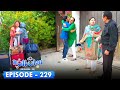 Bulbulay Season 2 Episode 229 Ayesha Omar Nabeel