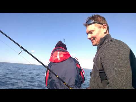 Dänemark Langeland Dorsch Angeln Kassel 1 ZooHous