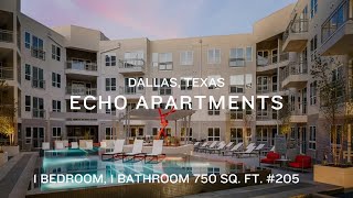 Echo Apartments, Dallas, TX: 1 Bedroom