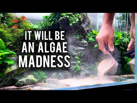 5 Things You Should Avoid For an Algae FREE Aquarium