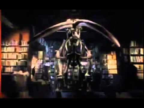 American Mastodon in the NHM London