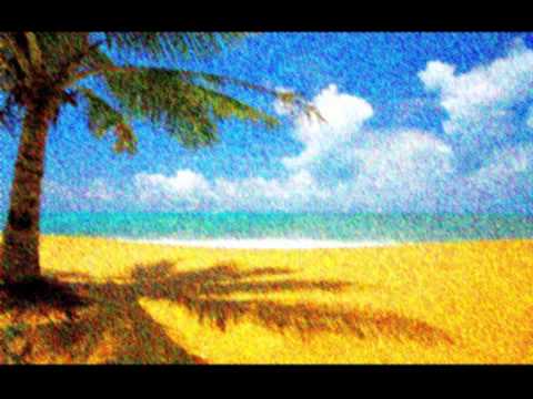 Duck Sauce vs Martin Solveig - Hello Barbara