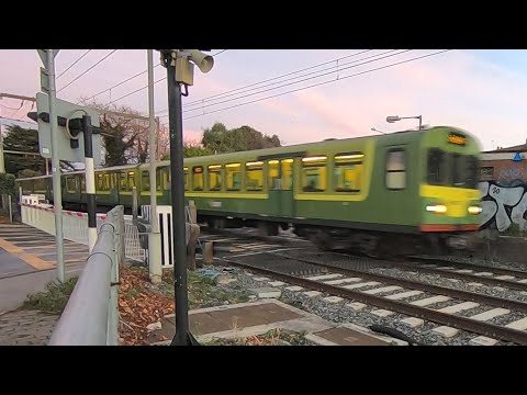 Irish Rail 8300 And 8520 Class Dart Trains - Merrion Gates Level Crossing, Dublin