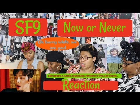 SF9 NOW OR NEVER MV REACTION