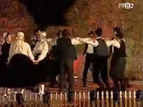 KOCURSKA ŽATVA 2010