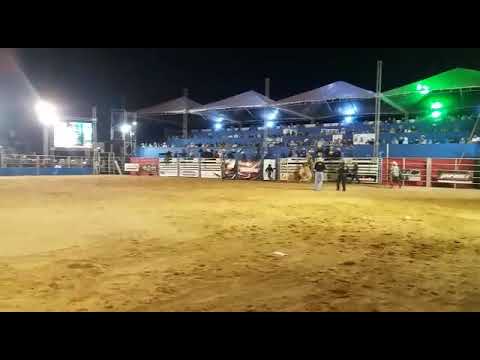 Alexandre Rocha VS touro dinamite da 3r do Gilberto deu bao graças a deus
