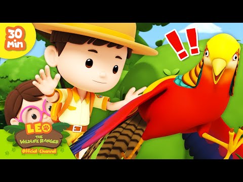 Witness21 Editor  2024 01 05