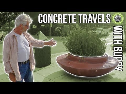 Concrete Travels With Buddy - Episode 4 - Buddy's Neighborhood