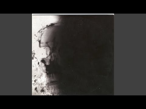 The Pulse Of Decay cover
