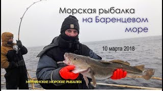 Ура-губа рыбалка в баренцевом море