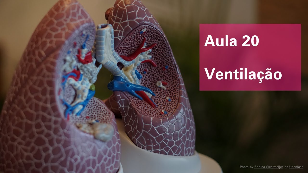 Videoaula 20 Ventilação
