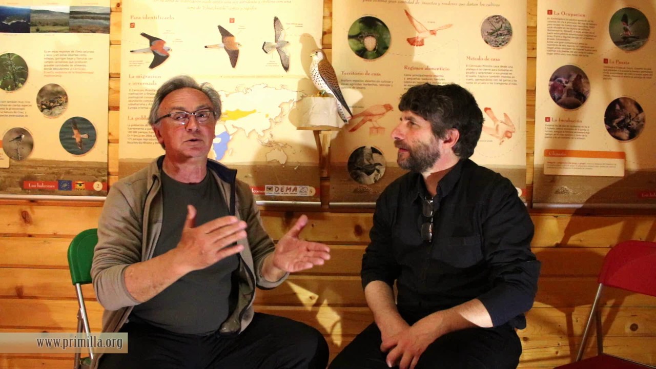Entrevista a Pepe Antolín en DEMA