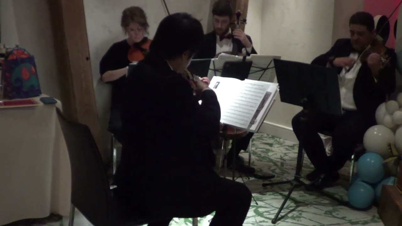 Promotional video thumbnail 20 for Xinou Wei Strings