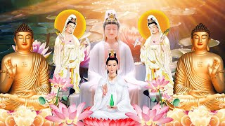 南无观世音菩萨 消除災禍、帶來福報💕 平安健康🙏🏻🌷 一切諸菩薩慈悲與加持 慈佑眾 大慈大悲救苦救難🌿Buddhist Song
