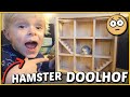 HAMSTER DOOLHOF VOOR SAMMiE! ? | Bellinga Vlog #1544