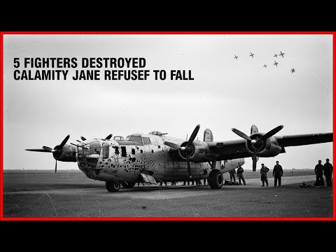Luftwaffe Crews Were Shocked When One Liberator Destroyed Five Fighters in a Single Battle