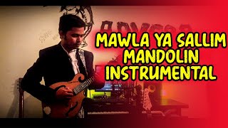 Mawla ya sallim  Instrumental  Mandolin cover