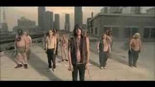 The Bumblebeez Dr Love