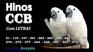 HINOS CCB - 61-115-147-341-362-365-368-369-371-372-374-375-377-424-425-457-464-472-478 - HINOS CCB