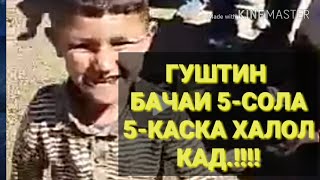 ГУШТИН. БАЧАИ 5-СОЛА 5-КАСА ХАЛОЛ КАРД РЕКОРД..!