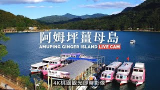 阿姆坪薑母島