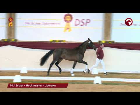 KN 76 von Sezuan's Donnerhall / Florestan I