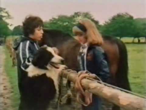 Famous Five - 10  Five go to mystery moor  Part  1