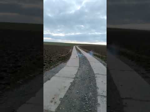 DumBum 5g vs Deo Dose