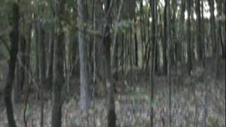 preview picture of video 'Day Scout Oct 2009: Percy Priest Lake TN'