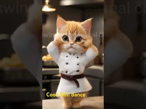 Jale  chahe Sara jamana cute #dance # kitchen #catdance #catchef #funny #enjoyvideo #catlover #viral