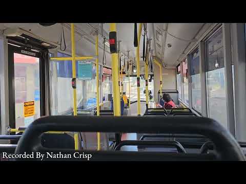 Torrens Transit 790 • M.A.N NL 232 CNG • ABM 'CB62A