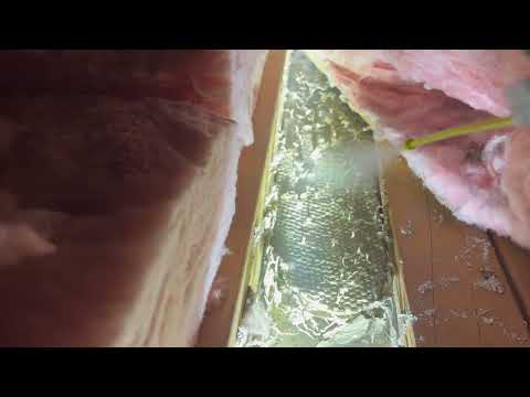 Hidden Yellow Jacket Nest Under Insulation...