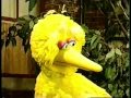 Sesame Street Episode 3979 Incomplete