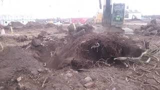 A Hard Nut To Crack.