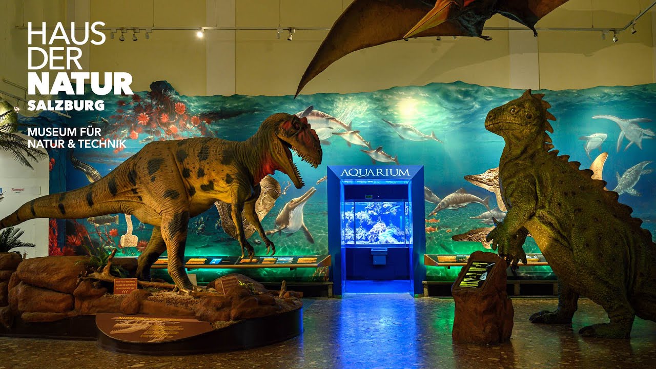 Discover a captivating peek of Haus der Natur.