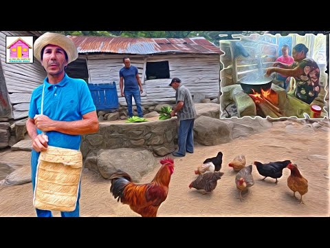 Así se pasa UN DIA EN EL CAMPO de LA LOMITA DE JARABACOA