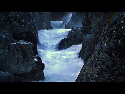 Whitewater Rapids & Rain Sounds for Sleeping | Relaxing Raindrops & Water Sounds