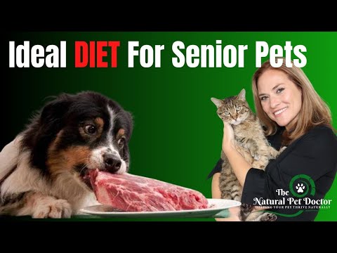 Ideal Diet For Senior Dogs & Cats