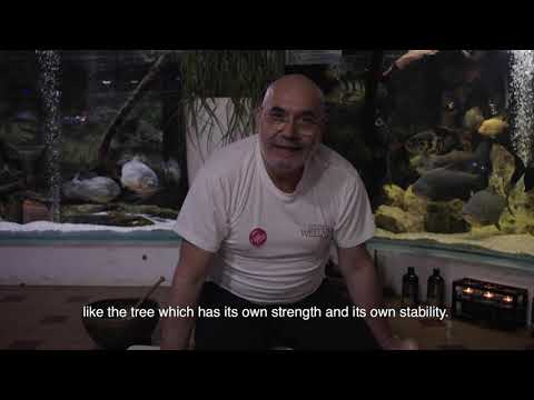 GLOBAL WELLNESS DAY 2020- SERBIA / Pedja Filipovic & team WAPF