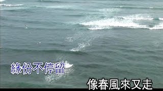 女人花 - 童丽 Lady Flower - Tong Li