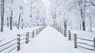 Restore Your Nervous System ❄️ Calming Winter Music to Stop Overthinking & Find Peace