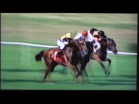 Nagroda Oaks - 4.08.2002 - Szanta (Czaravich - Sexpanna)