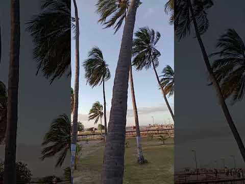 Plus Ultra La Guajira's Riohacha Boulevard