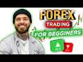 The Ultimate Beginners Guide To FOREX