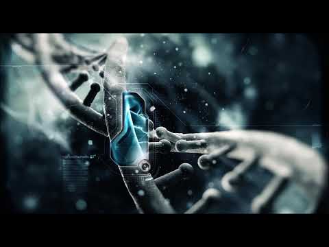 Kaali & Simon Force vs Ketanoise - Pura Baraonda (Frenchcore)