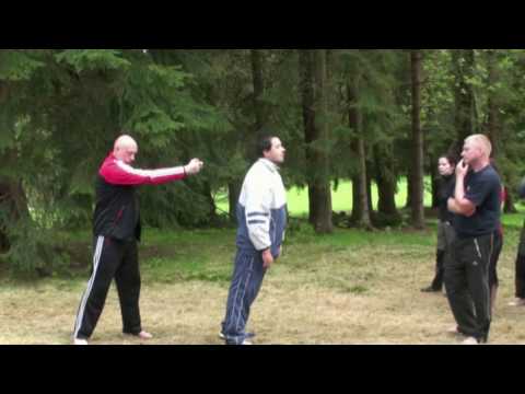 SECRET TECHNIQUES INTERNAL ENERGY SELF DEFENSE VADIM STAROV