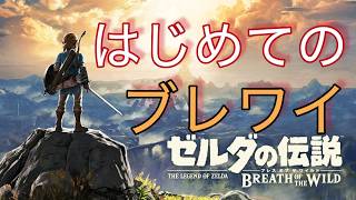 【ゼルダの伝説　ブレスオブザワイルド】自称ハイラル王と別れてカカリコ村へ
