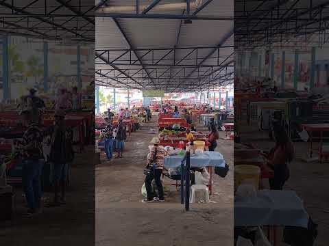 FEIRA DE SANTA INÊS BAHIA #shorts #feira #santainês #bahia #cultura #turismo #entretenimento #agro